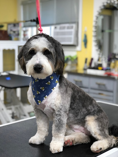 Fluffy's Dog Grooming
