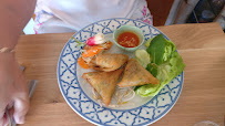 Rouleau de printemps du Restaurant thaï Thaï Curry à Wimereux - n°16