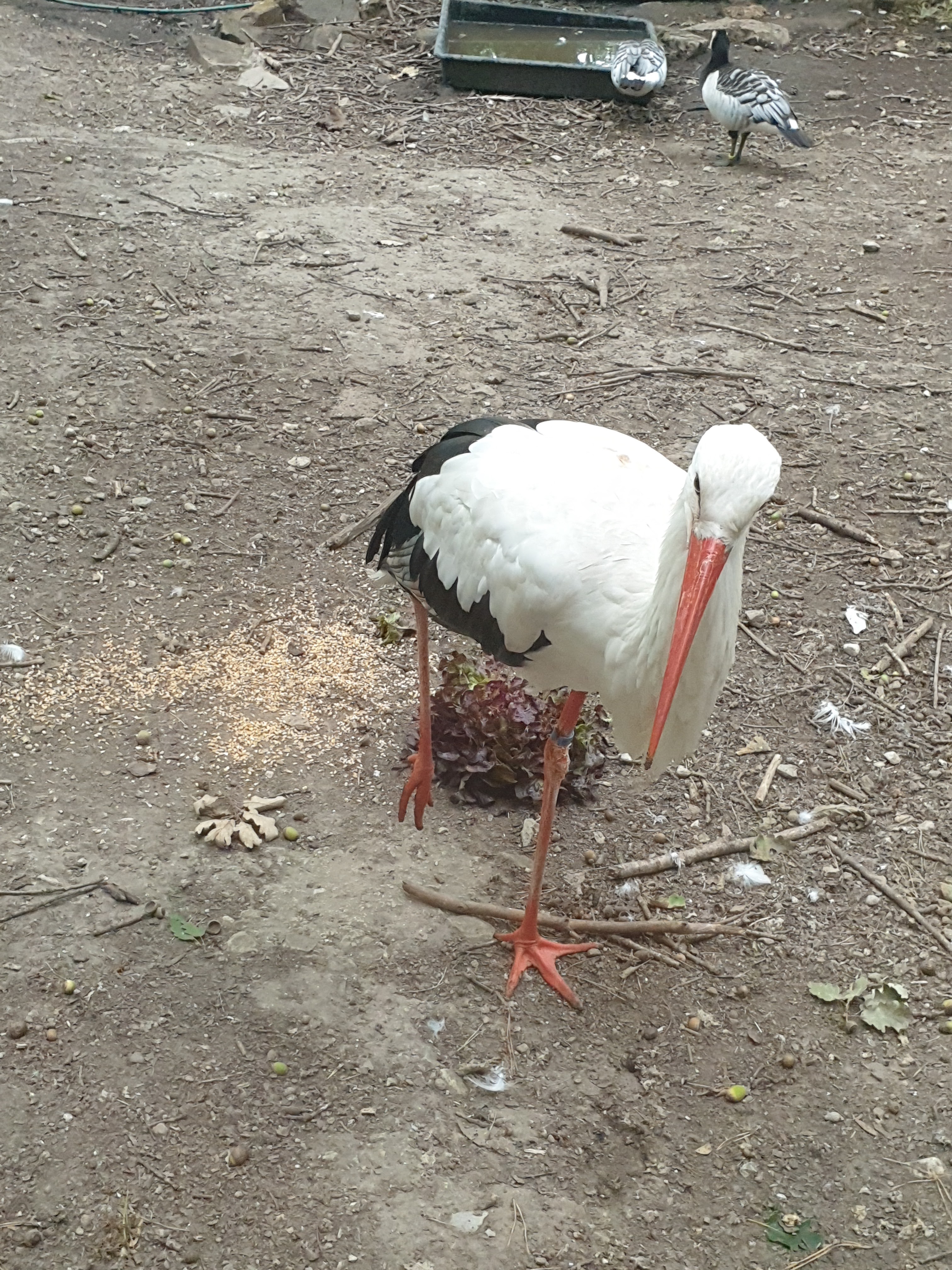 Photo n° 5 de l'avis de Sia.u fait le 18/08/2020 à 16:01