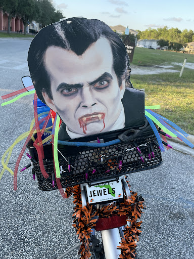 Bicycle Store «Fox Firestone Bicycles», reviews and photos, 1609 Canal St, New Smyrna Beach, FL 32168, USA