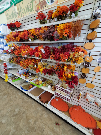 Dollar Store «Dollar Tree», reviews and photos, 8727 S Ridgeland Ave, Oak Lawn, IL 60453, USA