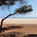 Photo n°1 de l'avis de Il.o fait le 05/02/2019 à 08:57 sur le  Su BarOne risto beach bar à Orosei