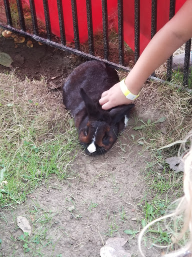 Botanical Garden «Beech Creek Botanical Garden & Nature Preserve», reviews and photos, 11929 Beech St NE, Alliance, OH 44601, USA