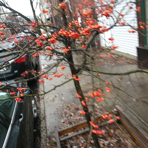 Grocery Store «ACME Markets», reviews and photos, 614 Clinton St, Hoboken, NJ 07030, USA