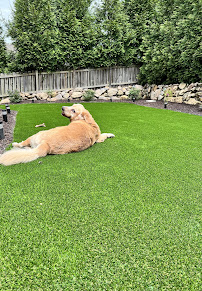 Smart Turf - Photo 3 - Car repair in Santa Fe Springs, CA, Fullerton