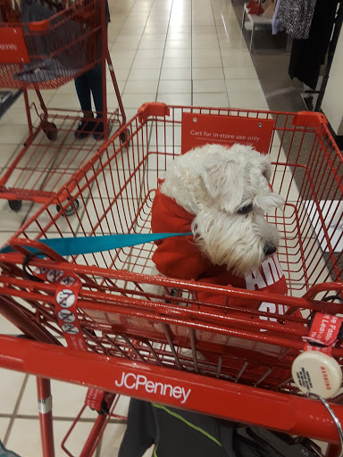 Department Store «JCPenney», reviews and photos, 1700 W International Speedway Blvd, Daytona Beach, FL 32114, USA