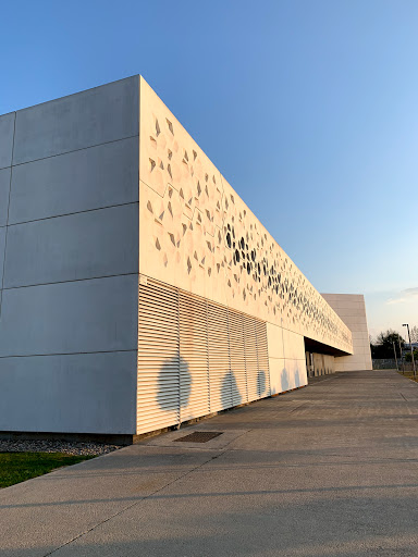 Centro de Creación Contemporánea De Andalucía C3A