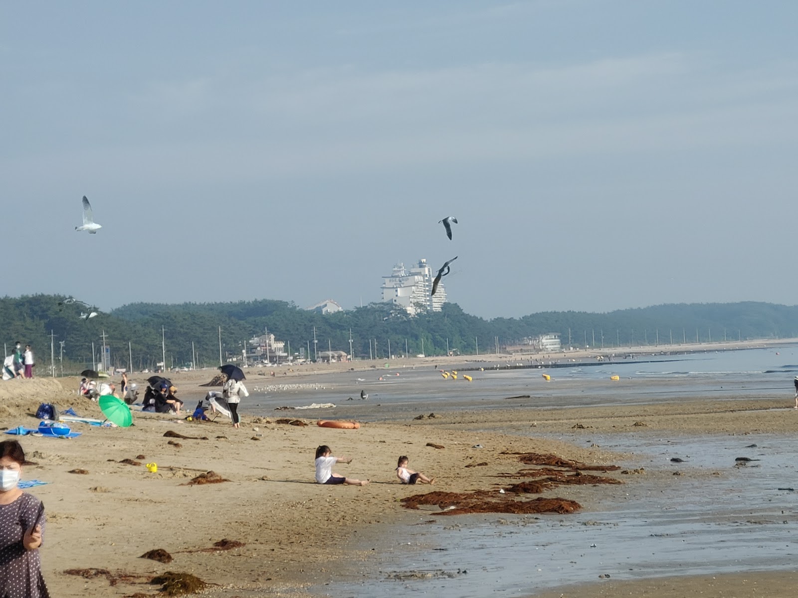 Fotografija Kkotji Beach z dolga ravna obala