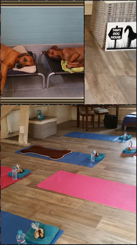 Tam's Dog house, opleidingen: Hondenverzorging Massage & More - Beringen