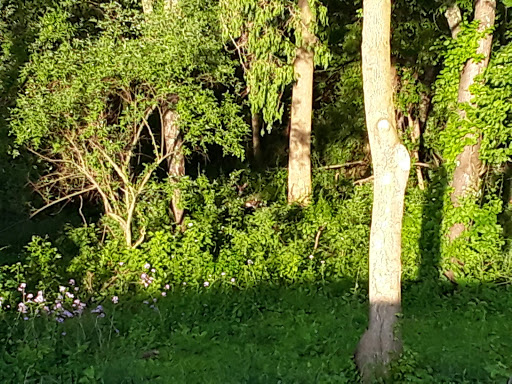 Golf Club «Musket Ridge Golf Club», reviews and photos, 3555 Brethren Church Rd, Myersville, MD 21773, USA