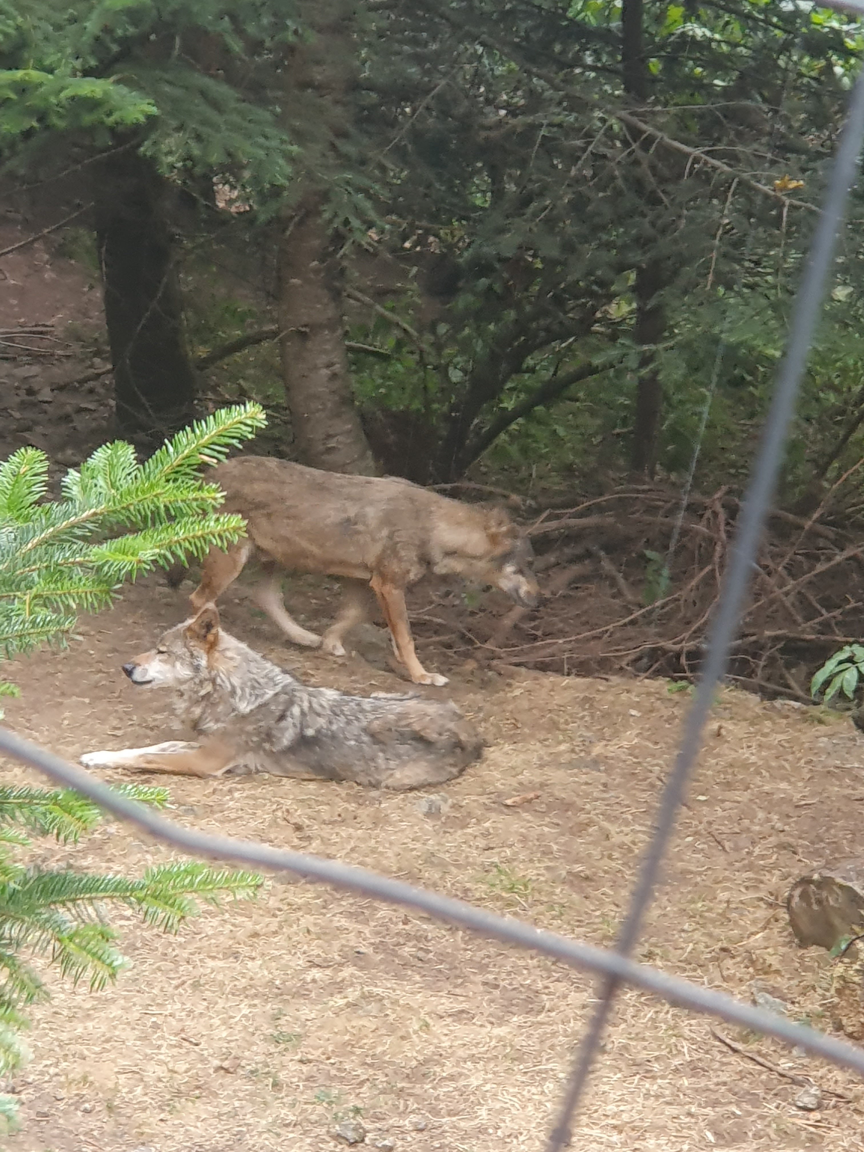 Photo n° 2 de l'avis de Jean.l fait le 24/08/2023 à 21:03