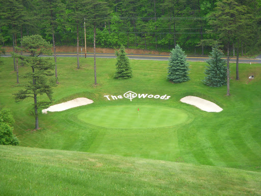 Golf Course «Woods Golf Course», reviews and photos, 5 Clubhouse Ridge, Hedgesville, WV 25427, USA