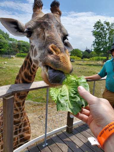 Aquarium «Toledo Zoo Aquarium», reviews and photos, 2700 Broadway St, Toledo, OH 43609, USA
