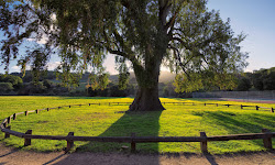 Rancho San Antonio Preserve