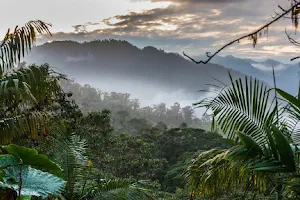 Santa Lucia Cloud Forest Ecolodge - Reserve Santa Lucia image