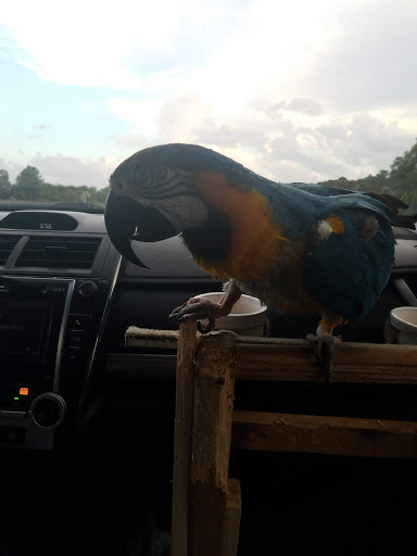 Golf Club «The Champion Turf Club at St. James», reviews and photos, 7900 Selvitz Rd, Port St Lucie, FL 34983, USA