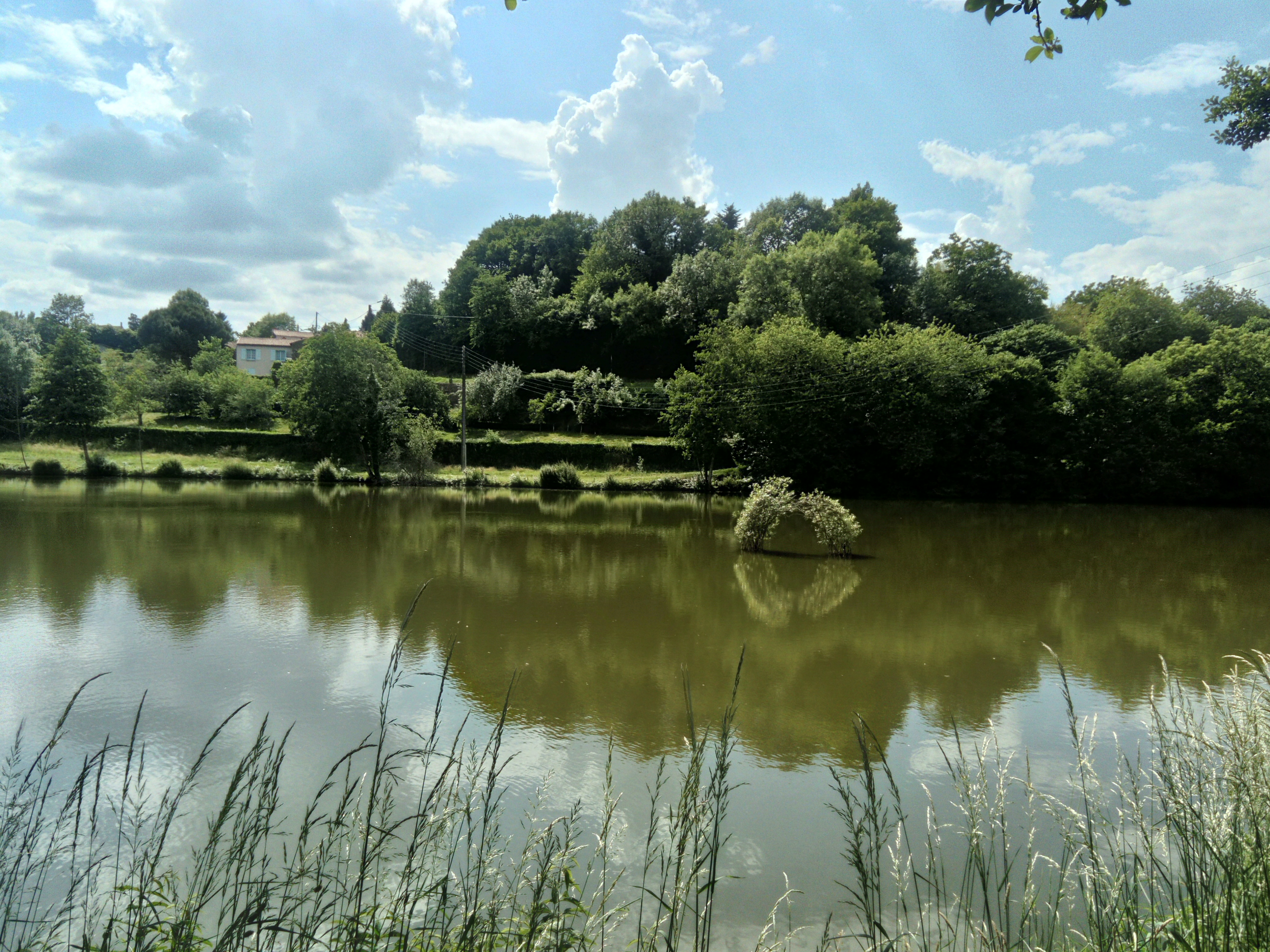 Photo n° 3 de l'avis de D.D fait le 01/06/2017 à 21:19