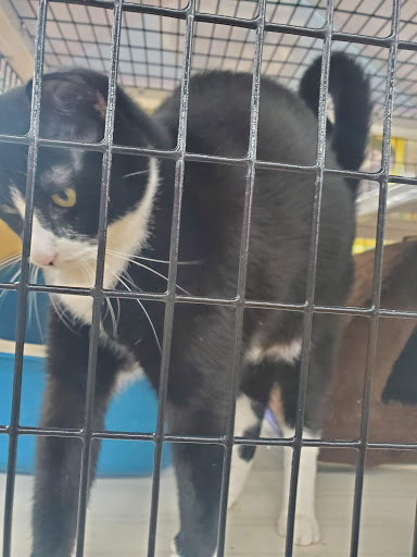 Pet Supply Store «Pet Supermarket, Inc.», reviews and photos, 3911 Lemmon Ave, Dallas, TX 75219, USA