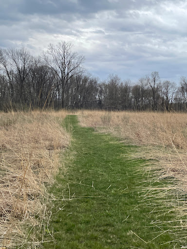 Nature Preserve «Leonard Preserve», reviews and photos, N Union St, Manchester, MI 48158, USA