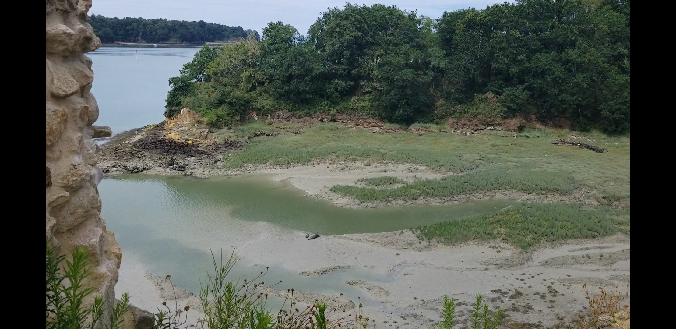 Photo n° 1 de l'avis de Jean-Louis.a fait le 17/07/2023 à 07:50