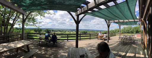 Bistro «Red Newt Cellars Winery and Bistro», reviews and photos, 3675 Tichenor Rd, Hector, NY 14841, USA