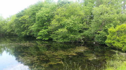 Golf Club «Avalon Golf Club», reviews and photos, 1510 U.S. 9, Cape May Court House, NJ 08210, USA