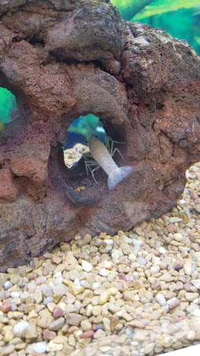 Pet Supply Store «Petco Animal Supplies», reviews and photos, 3424 W Shore Dr, Holland, MI 49424, USA