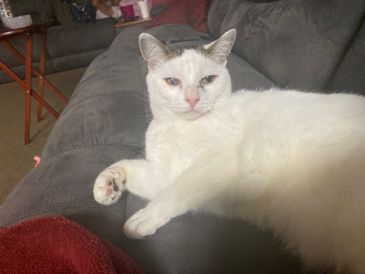 Auto Repair Shop «First Class Alignment & Repair», reviews and photos, 35 Dolson Ave, Middletown, NY 10940, USA