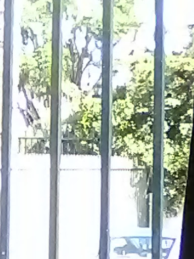 Cell Phone Store «AT&T Authorized Retailer», reviews and photos, 23639 Calabasas Rd, Calabasas, CA 91302, USA