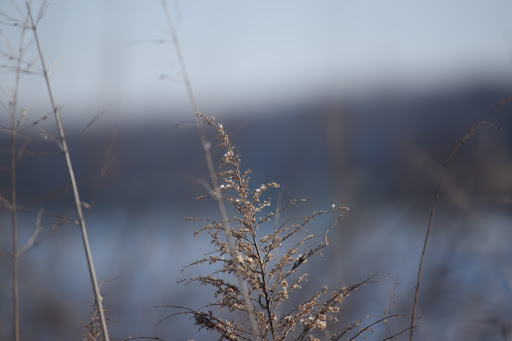 Convention Information Bureau «Alton Regional Convention & Visitors Bureau», reviews and photos, 200 Piasa St, Alton, IL 62002, USA