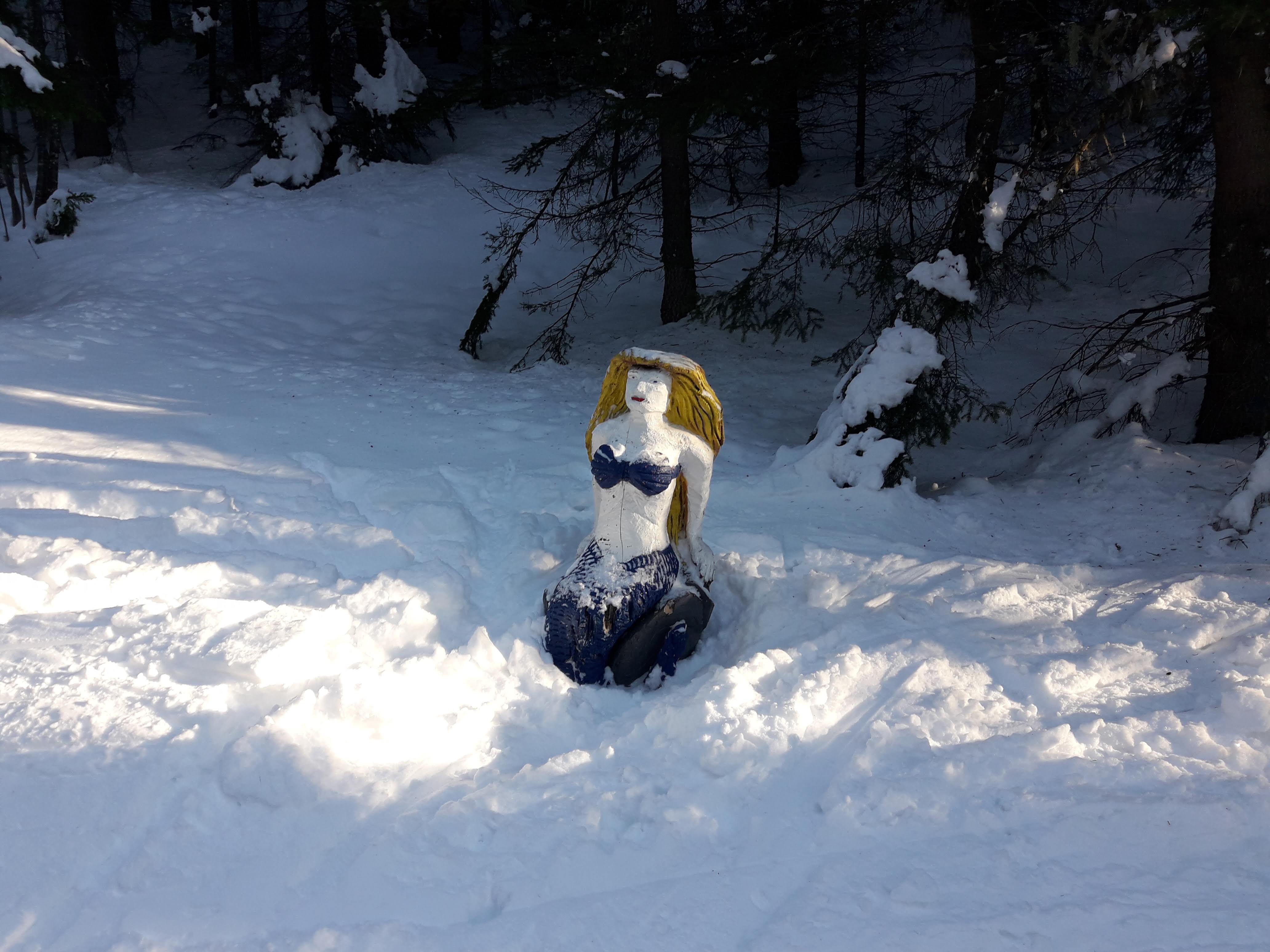 Photo n° 2 de l'avis de STANISLAV.A fait le 31/12/2019 à 07:32