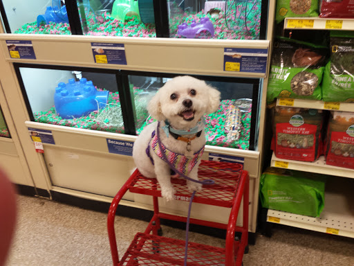 Pet Supply Store «PetSmart», reviews and photos, 901 US-1, North Brunswick Township, NJ 08902, USA