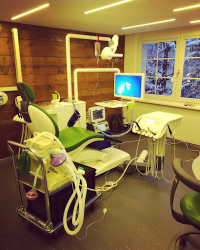 Zahnarzt Philipp Huldi MSc. / Haus am Wiesental - Zahnarzt