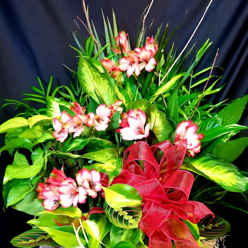 Florist «Mills & Young Florists», reviews and photos, 7122 Dixie Hwy, Louisville, KY 40258, USA