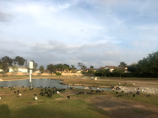 Park «Greer Park», reviews and photos, 6900 W McFadden Ave, Huntington Beach, CA 92647, USA