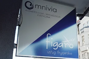 Fryzjer Figaro image