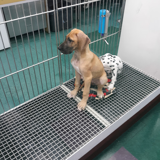 Pet Store «Petland Lewis Center», reviews and photos, 86 Meadow Park Ave, Lewis Center, OH 43035, USA