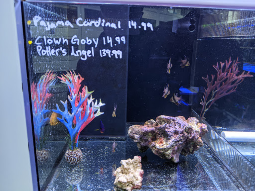 Tropical Fish Store «Barrier Reef Aquariums», reviews and photos, 1717 NE 44th St # A, Renton, WA 98056, USA