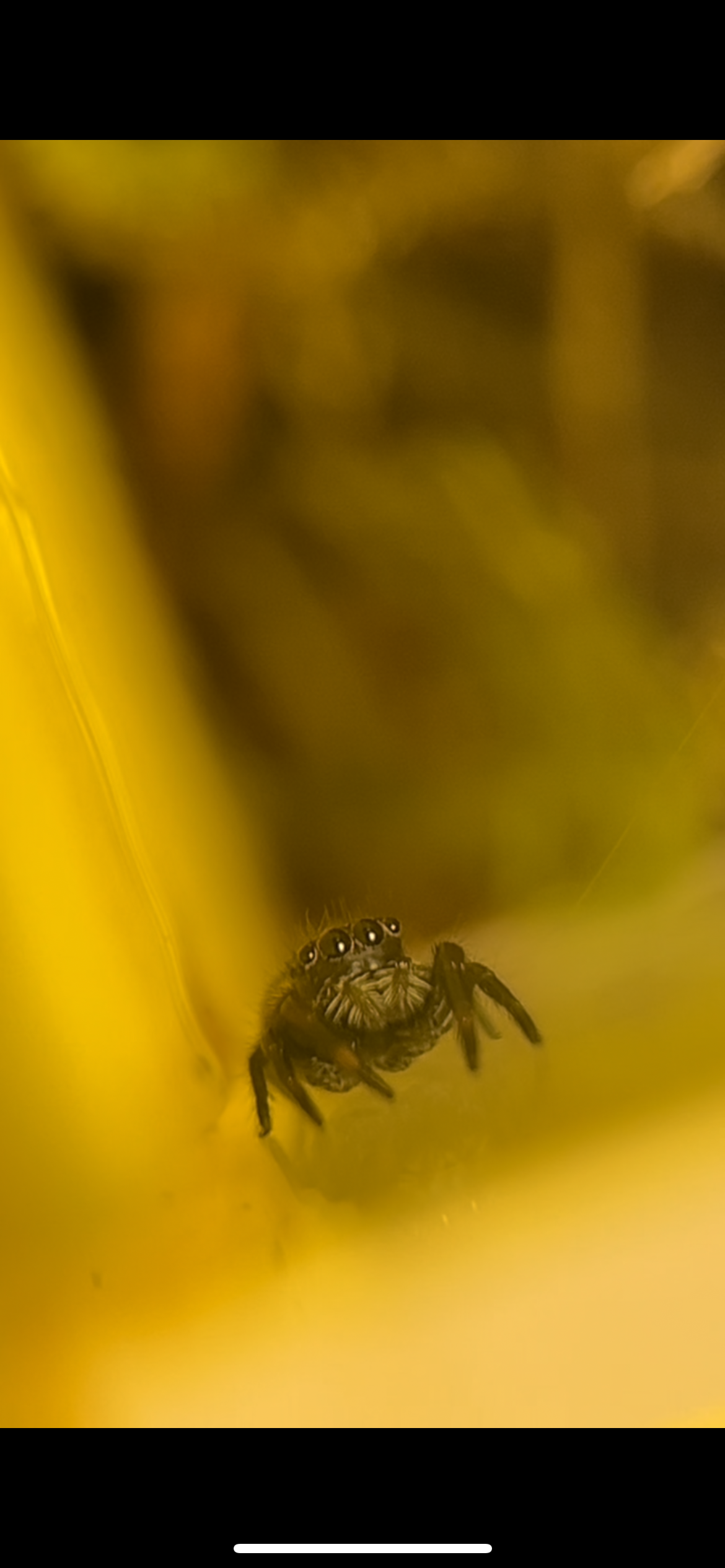 Photo n° 3 de l'avis de Flora.a fait le 20/12/2023 à 11:11