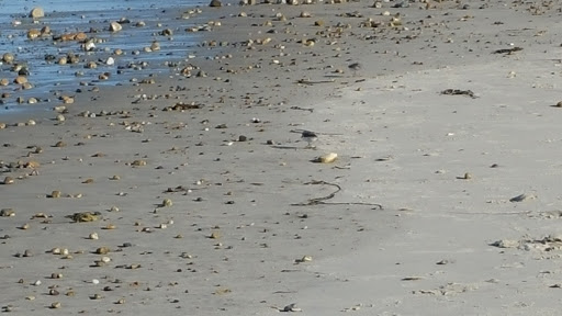 Golf Club «Green Harbor Golf Club», reviews and photos, 624 Webster St, Marshfield, MA 02050, USA