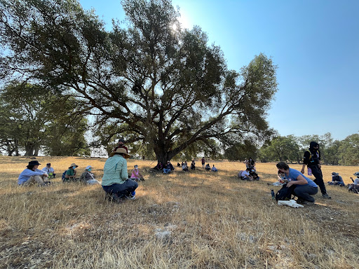 Nature Preserve «Deer Creek Hills Preserve», reviews and photos, Latrobe Rd, Sloughhouse, CA 95683, USA