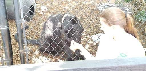 Tourist Attraction «Panther Ridge Conservation Center», reviews and photos, 14755 Palm Beach Point Blvd, Wellington, FL 33414, USA