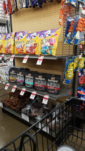 Pet Supply Store «Pet Supplies Plus», reviews and photos, 9500 Dorchester Rd #350, Summerville, SC 29485, USA