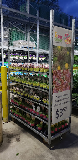 Department Store «Walmart Supercenter», reviews and photos, 1815 E Ohio Pike, Amelia, OH 45102, USA