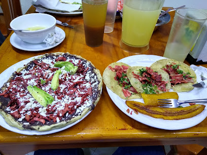 Restaurante Los Nopales - Dr. Rafael Lucio 88, Zona Centro, Centro, 91000 Xalapa-Enríquez, Ver., Mexico