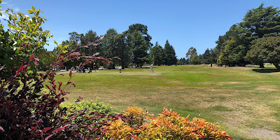 Napier Golf Club