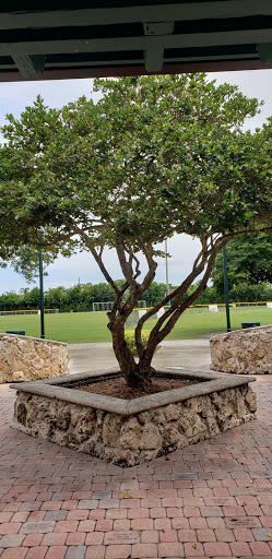 Park «Evelyn Greer Park», reviews and photos, 8200 SW 124th St, Pinecrest, FL 33156, USA