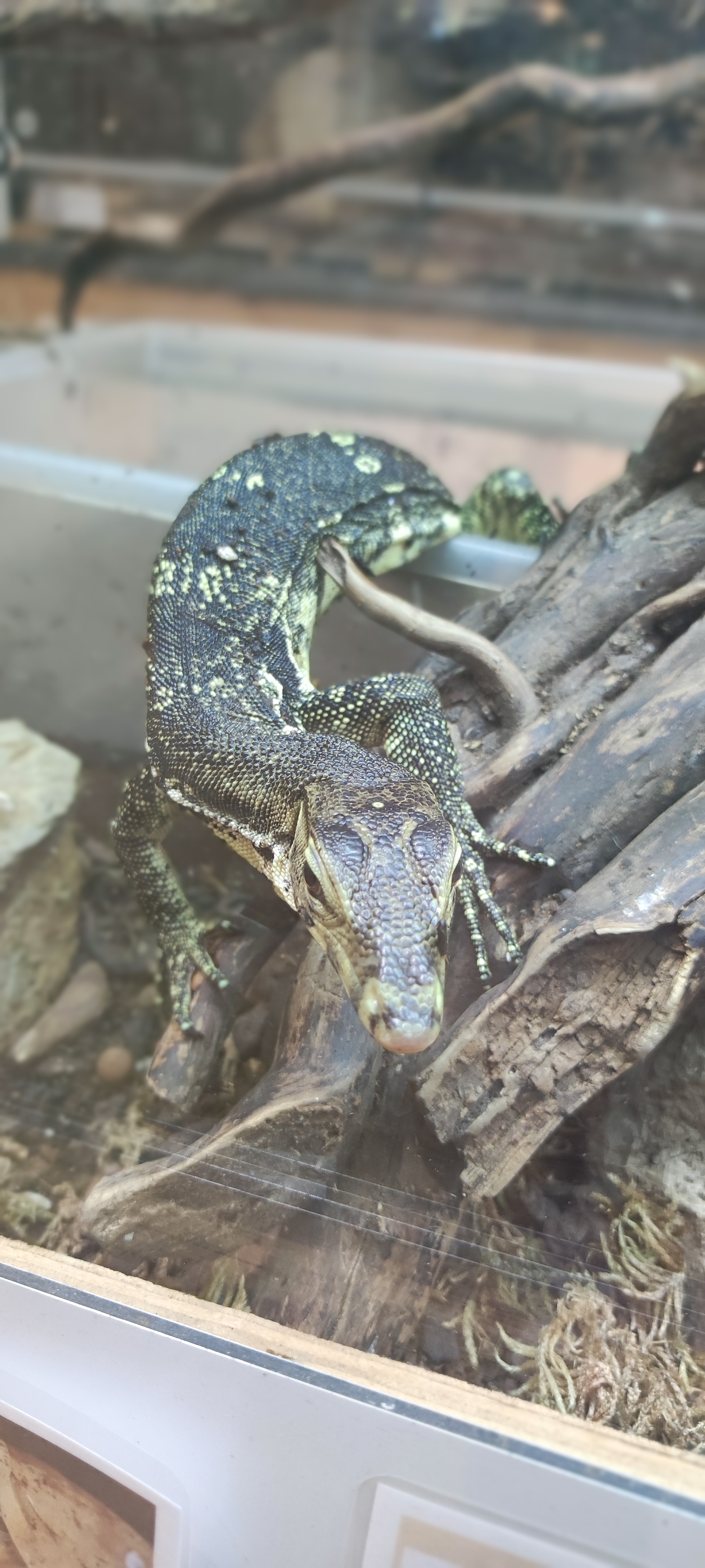 Photo n° 10 de l'avis de Léa.a fait le 07/09/2023 à 11:37