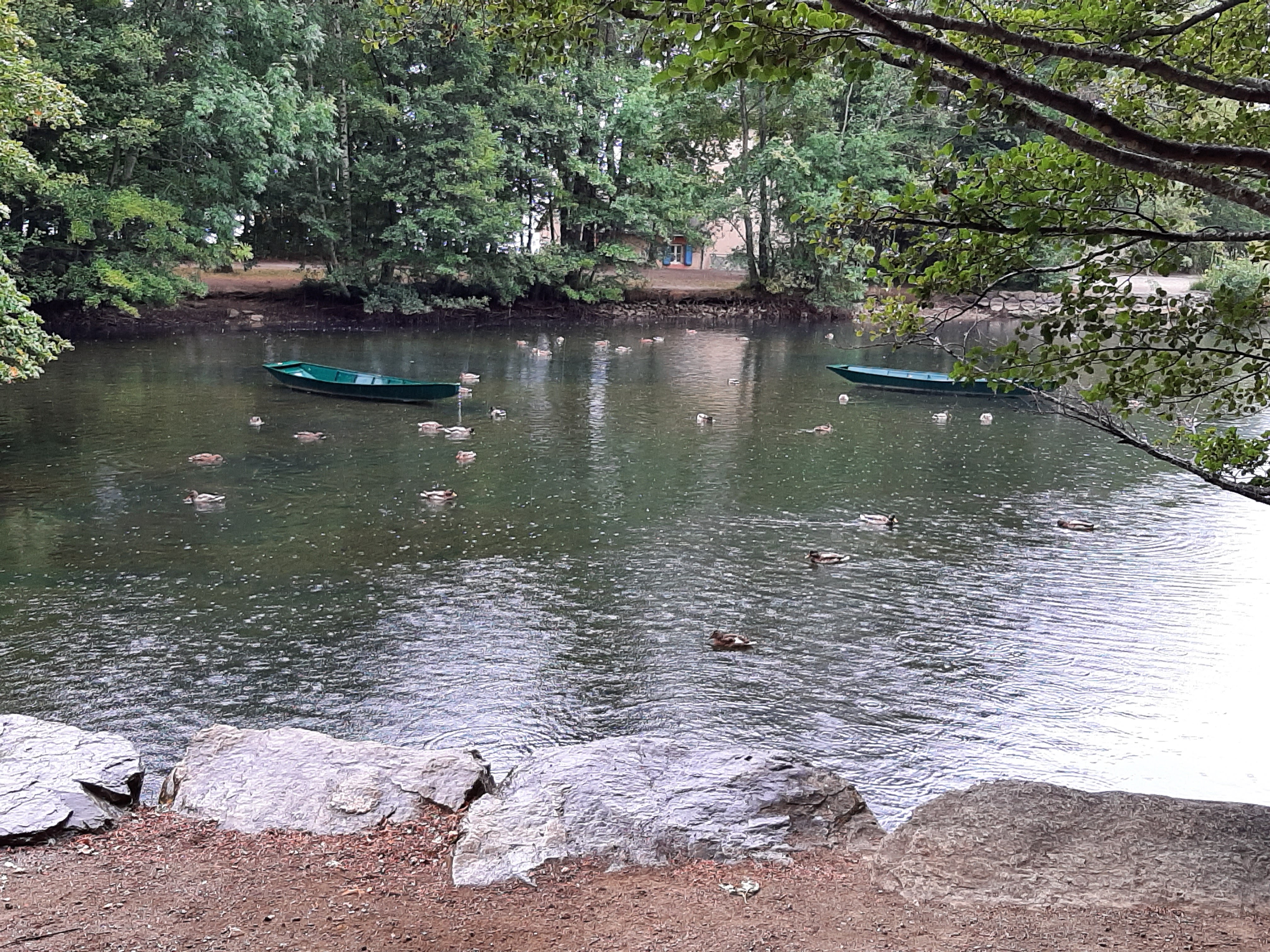 Photo n° 3 de l'avis de Thierry.a fait le 10/09/2019 à 10:25
