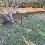 Photo n°2 de l'avis de Giuseppe.a fait le 03/12/2023 à 15:40 sur le  Agriturismo Fattoria su Grabiolu à Siamanna